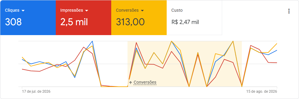 Campanha Google Ads com 308 cliques, 2,5 mil impressões e 313 conversões